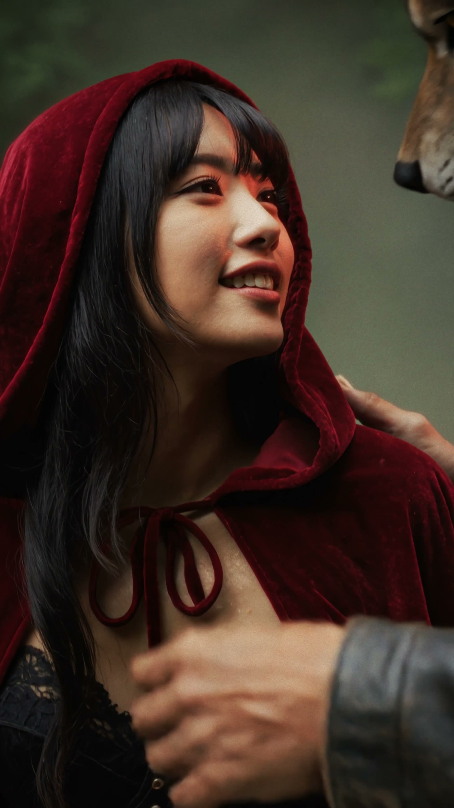 not so little red riding hood poster